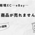 越境コマース：商品が売れない理由を考える